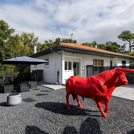 Prázdninový dům Zwischen Und Land By Interhome